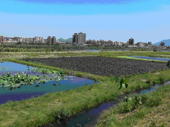 濕地除淨化水質外，更能有效發揮減洪的功能，圖為新海人工濕地。(圖片來源：Wikimedia Commons 作者：Lenovo-lin)